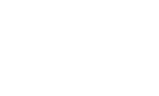 Madrid Guzzista Logo